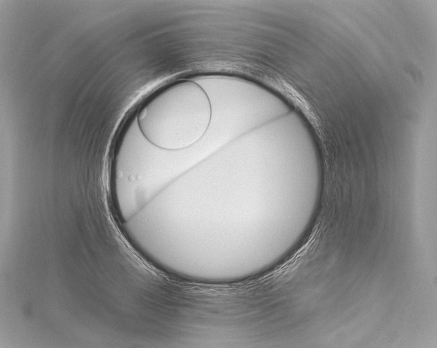 X0000115561028200912041049