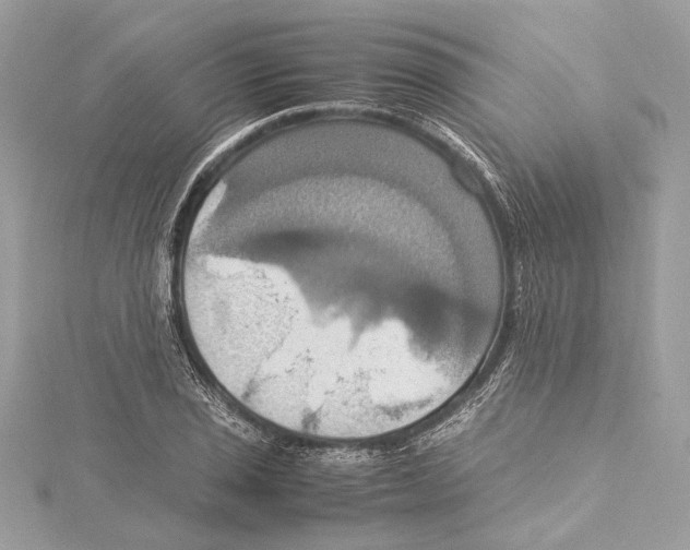 X0000115561029200912041049