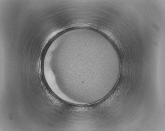 X0000115561030200912041049