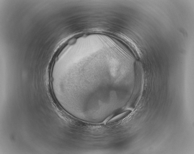 X0000115561031200912041049