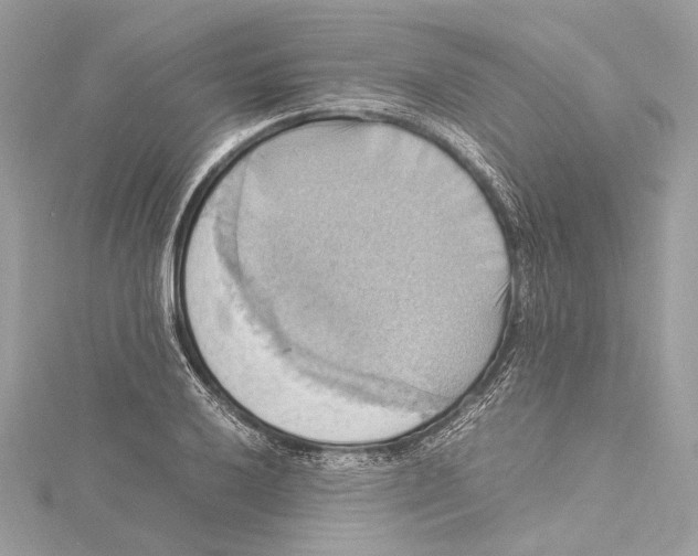 X0000115561032200912041049