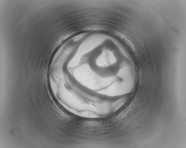 X0000115561033200912041049