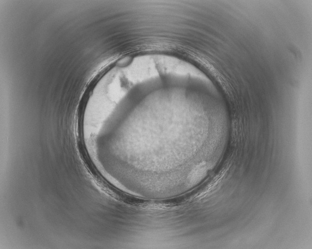 X0000115561034200912041049