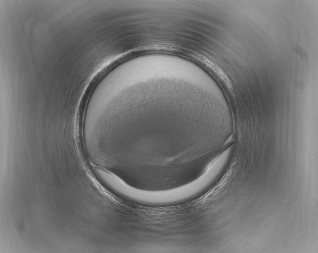 X0000115561037200912041049