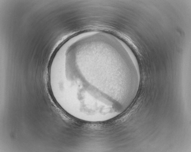 X0000115561040200912041049