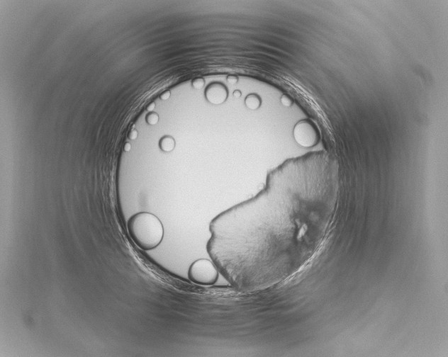 X0000115561041200912041049