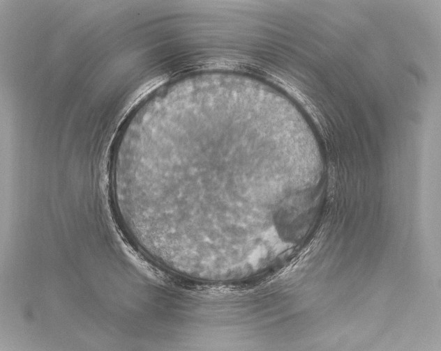 X0000115561042200912041049