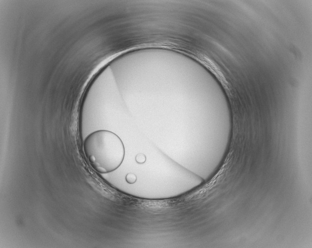 X0000115561044200912041049