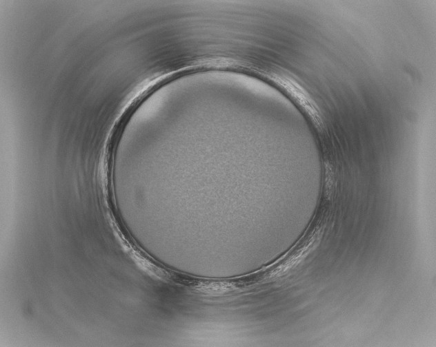 X0000115561046200912041049