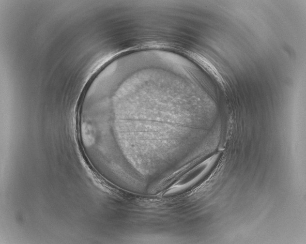 X0000115561047200912041049