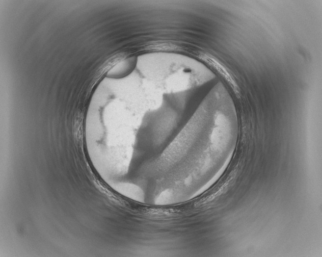 X0000115561049200912041049