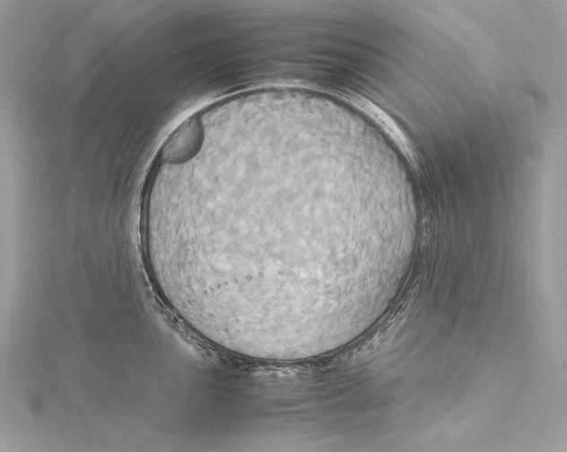 X0000115561051200912041049