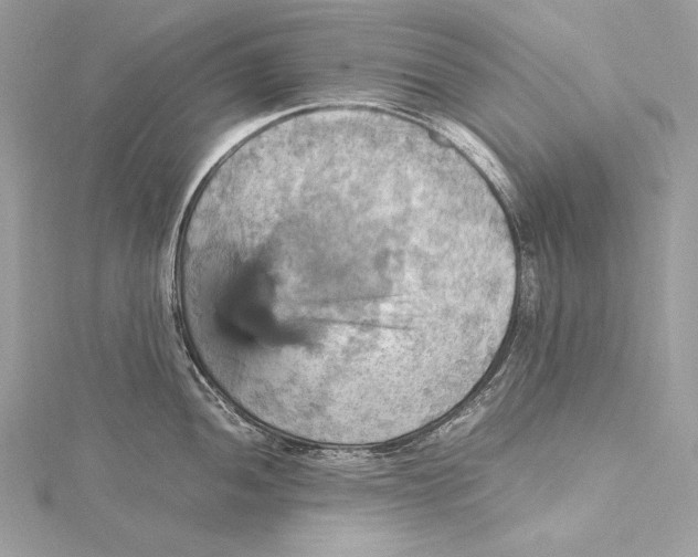 X0000115561052200912041049