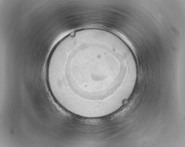 X0000115561053200912041049