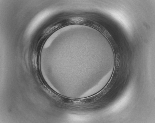 X0000115561054200912041049