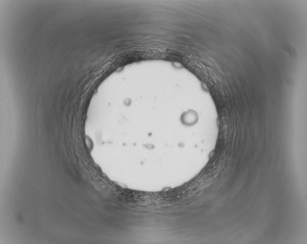 X0000115561057200912041048