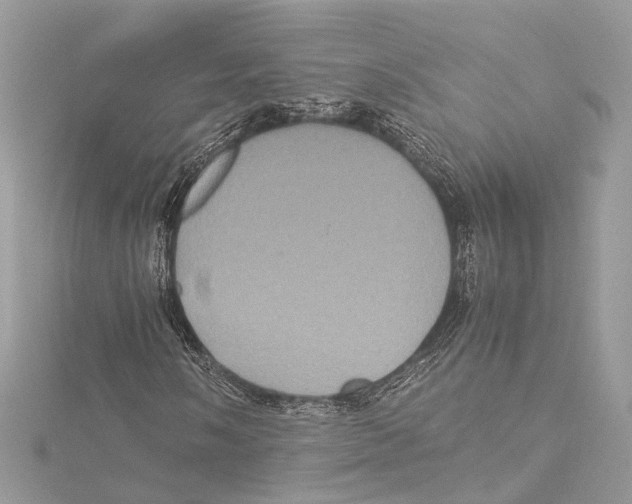 X0000115561058200912041048