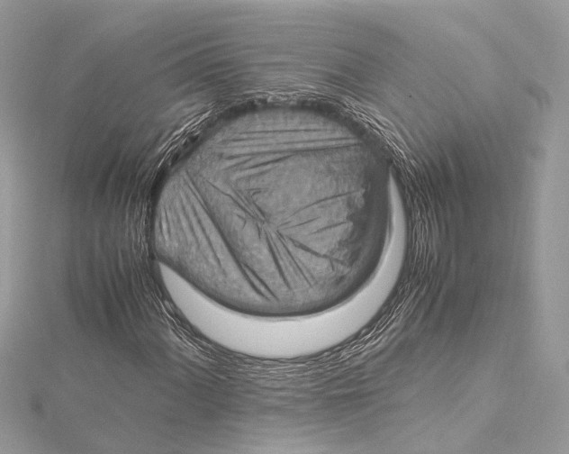 X0000115561060200912041048