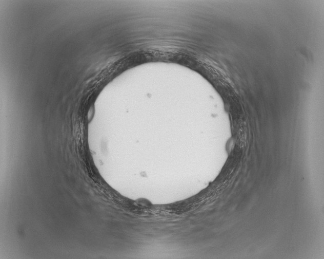 X0000115561061200912041048