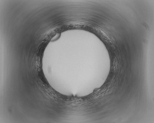 X0000115561062200912041048