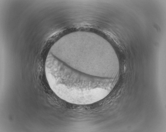 X0000115561063200912041048