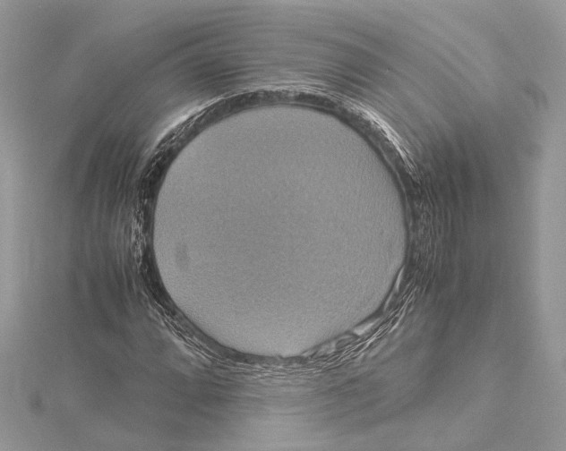 X0000115561064200912041048