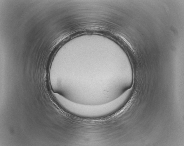 X0000115561065200912041048