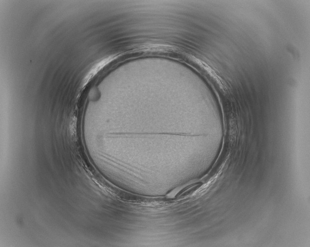 X0000115561066200912041048