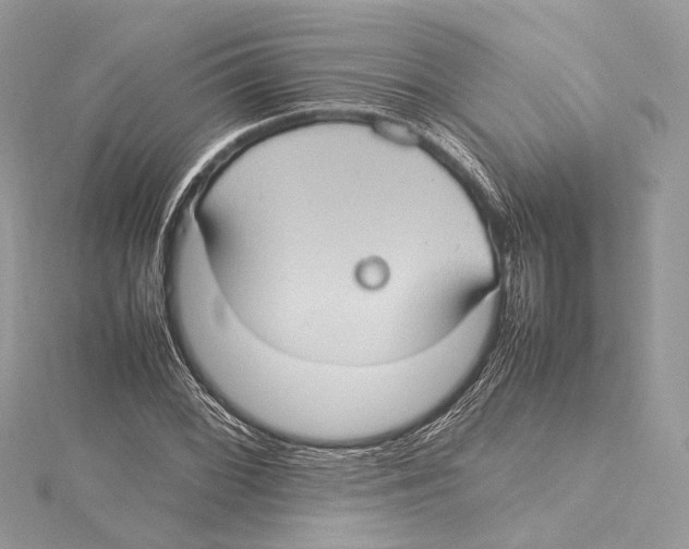 X0000115561068200912041048