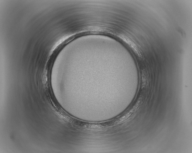 X0000115561070200912041048