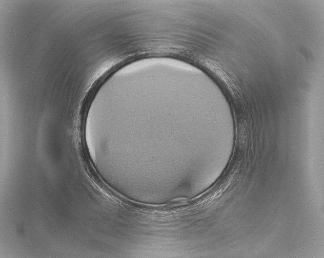 X0000115561071200912041048