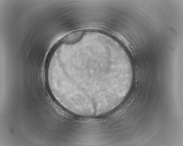 X0000115561072200912041048