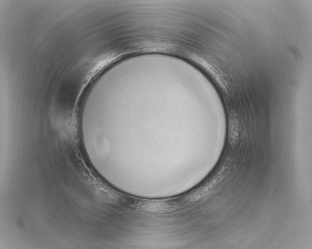 X0000115561074200912041048