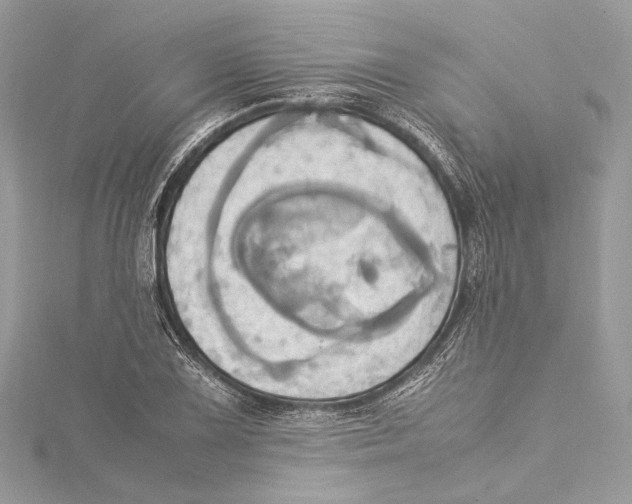 X0000115561075200912041048