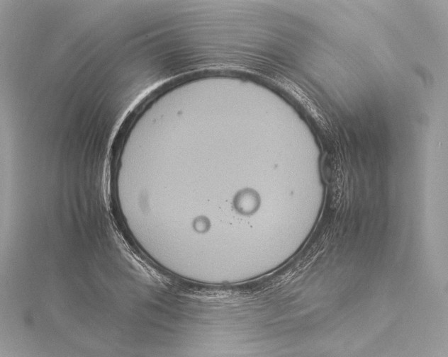 X0000115561076200912041048