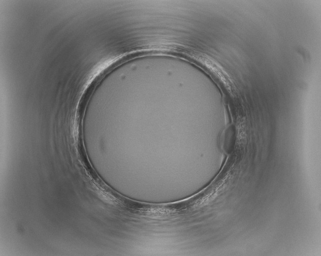 X0000115561077200912041048