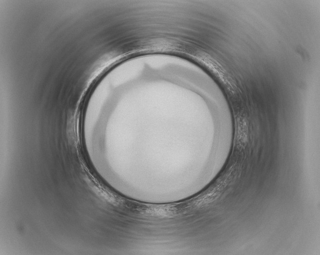 X0000115561078200912041048