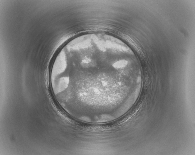 X0000115561079200912041048