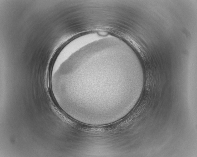 X0000115561080200912041048