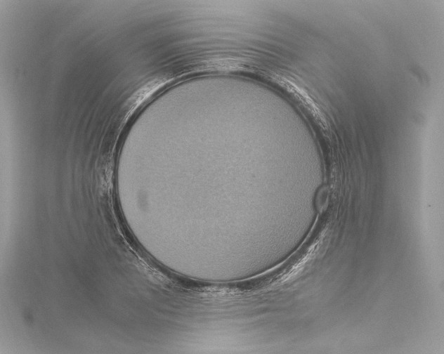 X0000115561081200912041048