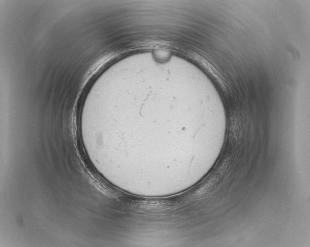 X0000115561082200912041048