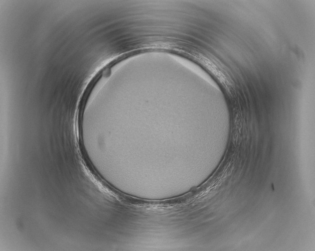 X0000115561084200912041048