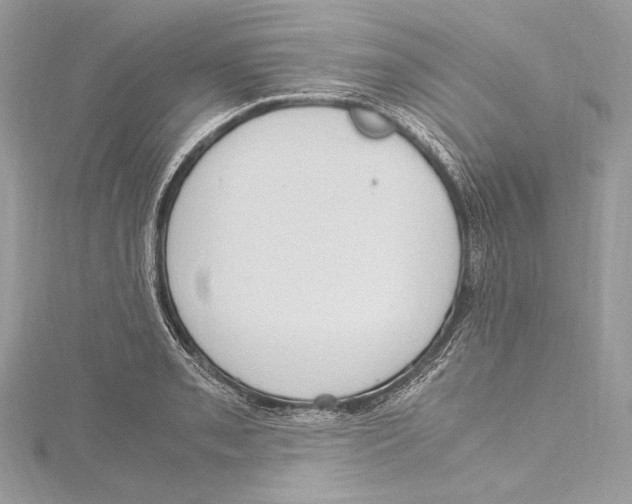 X0000115561085200912041048