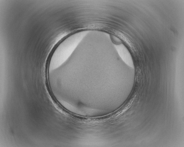 X0000115561087200912041048