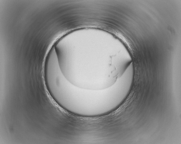 X0000115561088200912041048