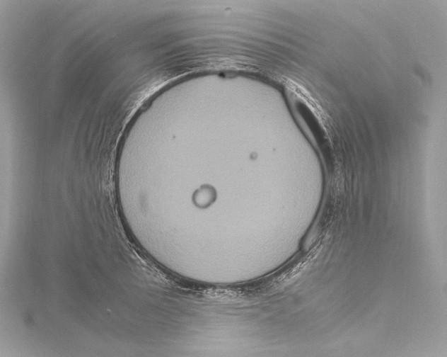 X0000115561089200912041048