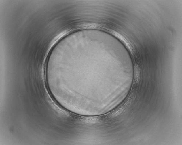 X0000115561090200912041048