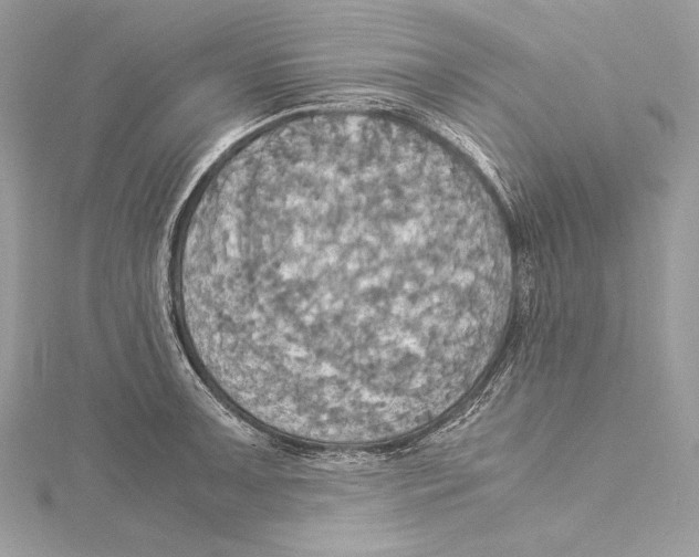 X0000115561091200912041048