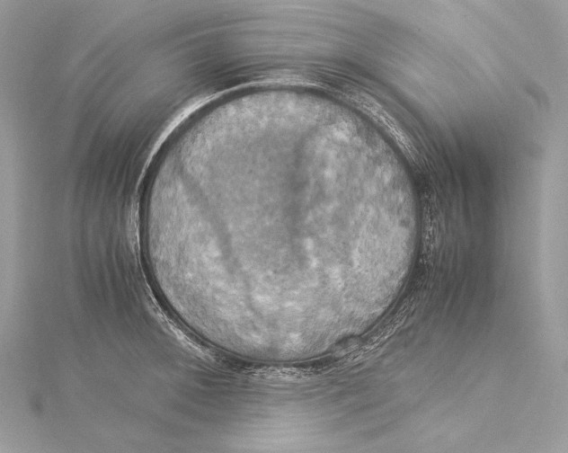 X0000115561092200912041048