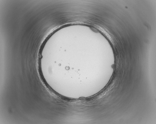 X0000115561093200912041048